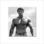 Arnold Schwarzenegger Block Giant Wall Art Poster