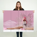 โปสเตอร์ ขนาดใหญ่ ภาพ Nicki Minaj pink friday cover 