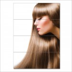 brown long hair- women hair Barber Haircuts Wall Art Poster