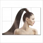 Pferdeschwanz Ponytail Frisuren Friseursalon Riesenposter