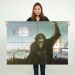 โปสเตอร์ ขนาดใหญ่ ภาพ Rise of The Planet of The Apes