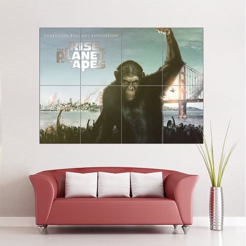 โปสเตอร์ ขนาดใหญ่ ภาพ Rise of The Planet of The Apes