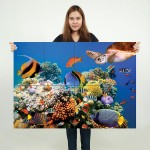 Aquarium fish Block Giant Wall Art Poster