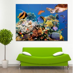 Aquarium fish  Block Giant Wall Art Poster (P-1447)