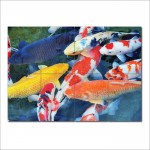 Koi Fish  Block Giant Wall Art Poster 