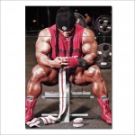 โปสเตอร์ ขนาดใหญ่  ภาพ Kai Greene - after workout