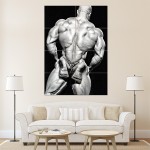  โปสเตอร์ ขนาดใหญ่ ภาพนักเพาะกาย Shawn Rhoden - Back