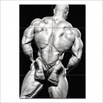  โปสเตอร์ ขนาดใหญ่ ภาพนักเพาะกาย Shawn Rhoden - Back