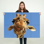 Giraffe Close Up Animal Block Giant Wall Art Poster 