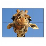 Giraffe Close Up Animal Block Giant Wall Art Poster 