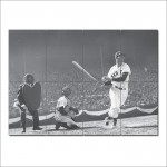 Ted Williams Baseball Block Giant Wall Art Poster