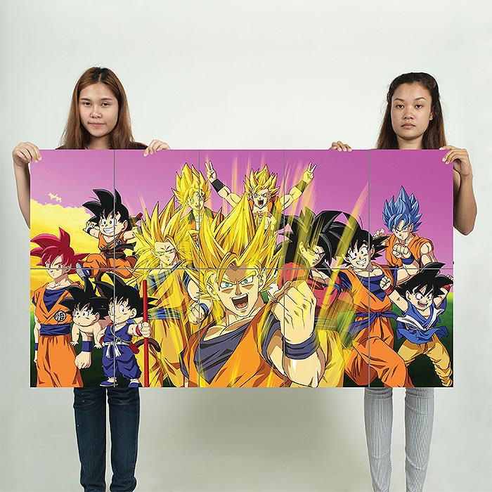 Dragon Ball Z Characters Poster