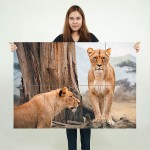 African Lioness Block Giant Wall Art Poster 