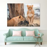 African Lioness Block Giant Wall Art Poster 