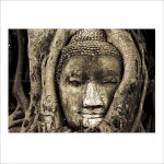 Face of Buddha in Tree Block Giant Wall Art Poster