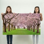 Cherry blossom spring Wand-Kunstdruck Riesenposter 