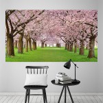 Cherry blossom spring Wand-Kunstdruck Riesenposter 