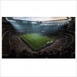 โปสเตอร์ ขนาดใหญ่ Fifa 18 Soccer Video Game Stadium