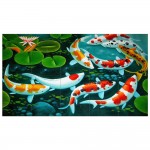 Koi Craps FishBlock Giant Wall Art Poster 