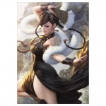 โปสเตอร์ ขนาดใหญ่ ชุนลี Street Fighter Chun Li 