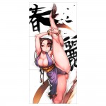 โปสเตอร์ ขนาดใหญ่ Street Fighter Chun li Hight Kick