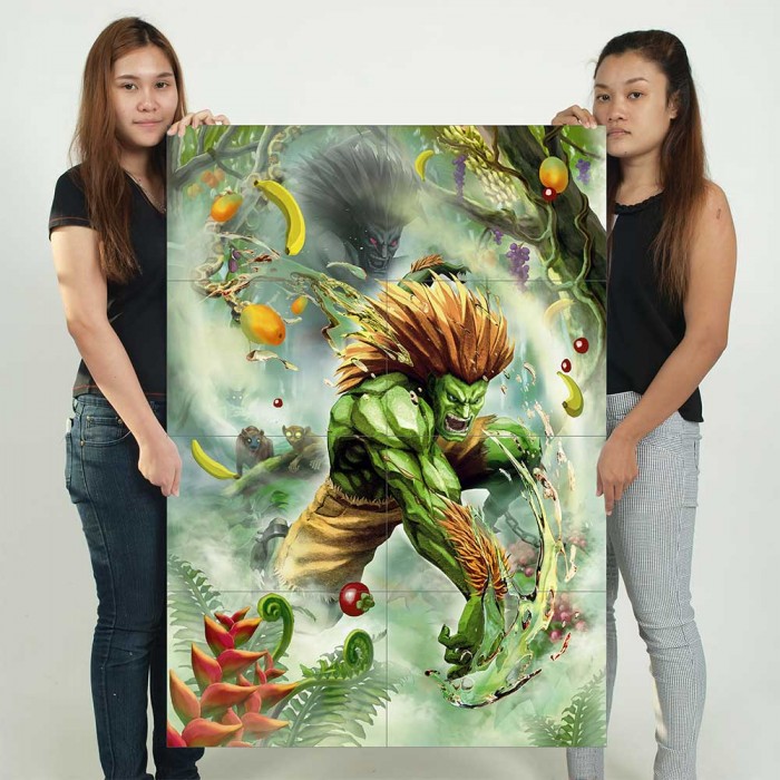 Super Street Fighter 4 Game Blanka Fabric Wall Scroll Poster (21x16) Inches  : : Home & Kitchen