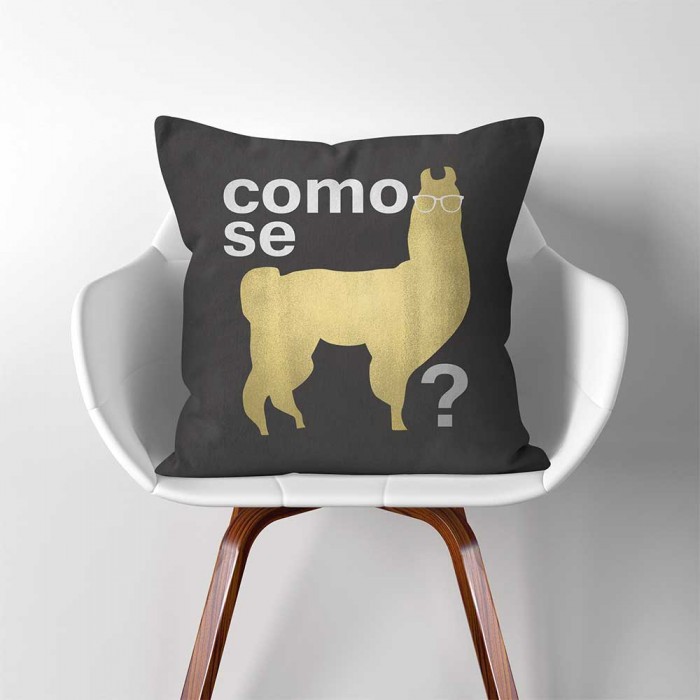 Llama Llama 18x18 Inch Pillow *P